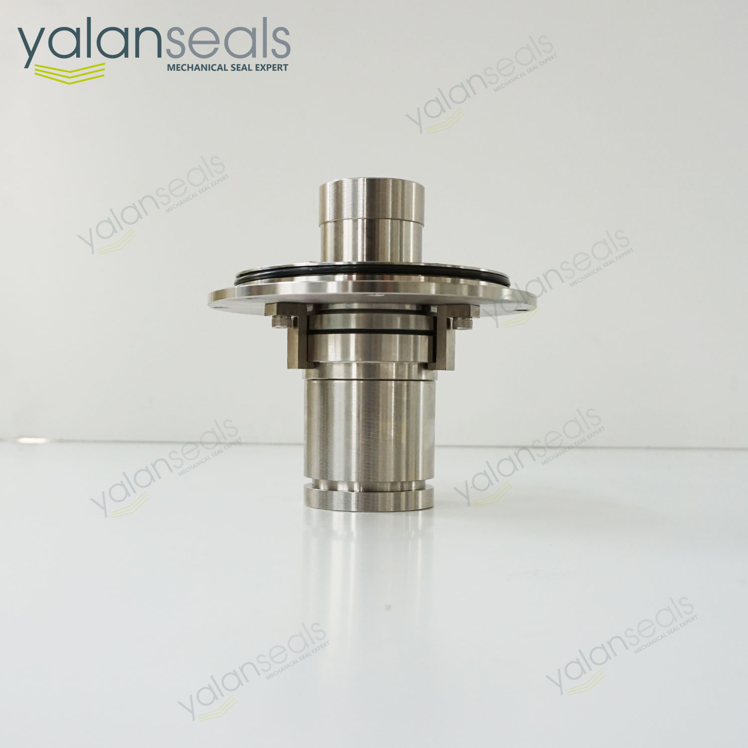 亞蘭SAS-45集裝式密封件,用于Salomix SL80泵 亞蘭SAS-45集裝式密封件,用于Salomix SL80泵